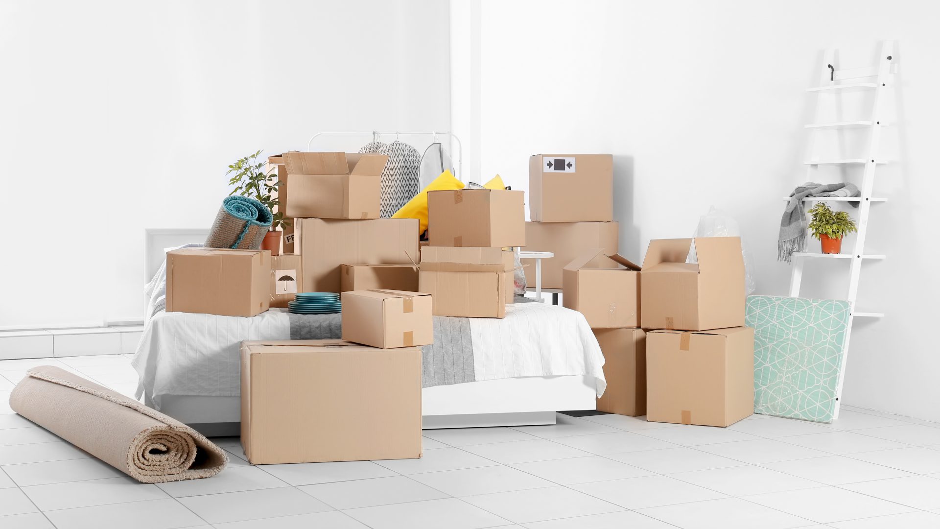 Packing Services